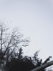 飛んでった。。。