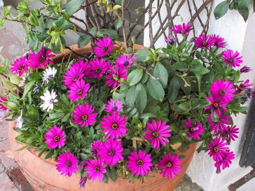 弾けるちっちゃな喜びいっぱい～♡