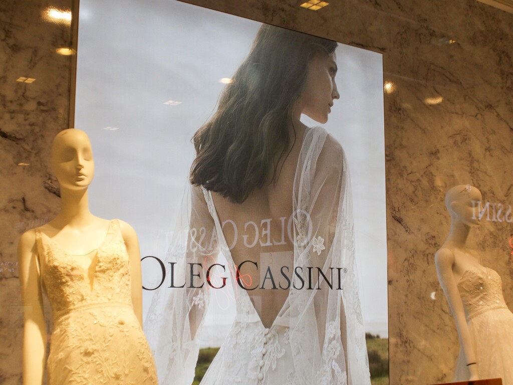 白くて柔らかい… 花弁 羽毛…