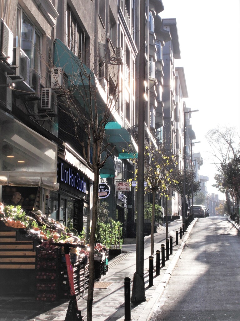 冬の朝陽は真綿色～～