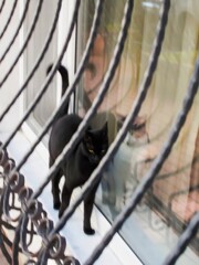 すれ違う恋～♡