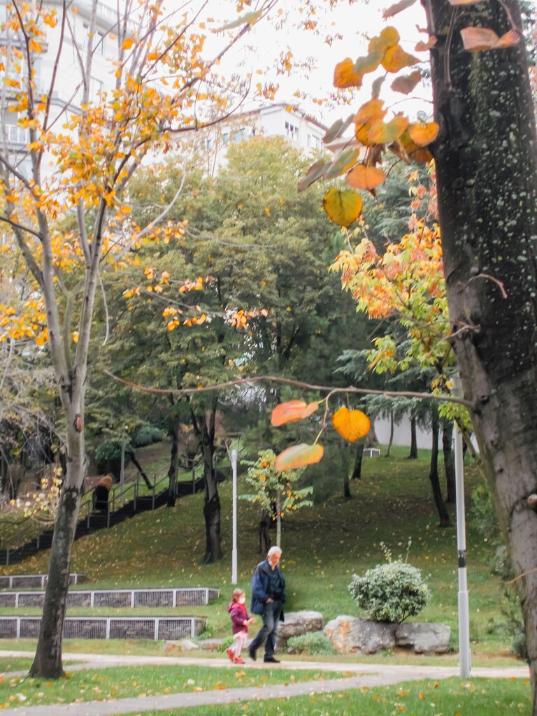 おじいちゃんと散歩したあの秋の日々…