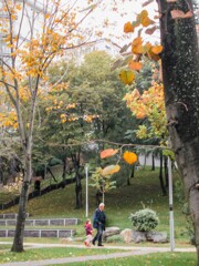 おじいちゃんと散歩したあの秋の日々…