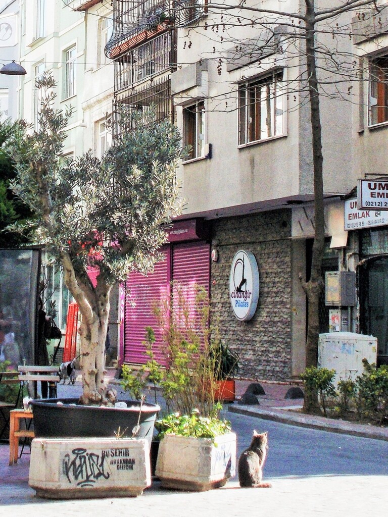 生活の匂い～～