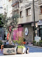 生活の匂い～～