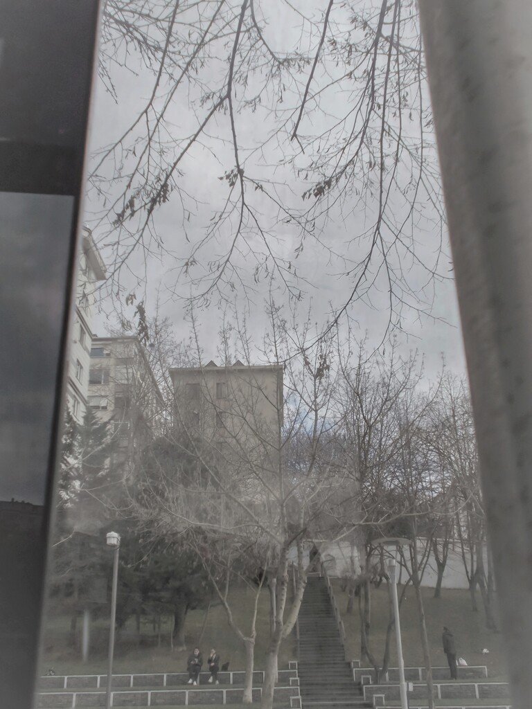 骨身をさらした冬・・・