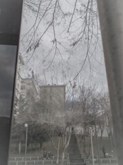 骨身をさらした冬・・・