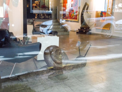 巨大でんでんむし～～