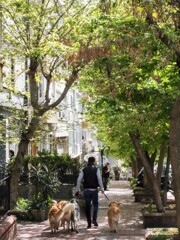 うらうら～　春の朝～