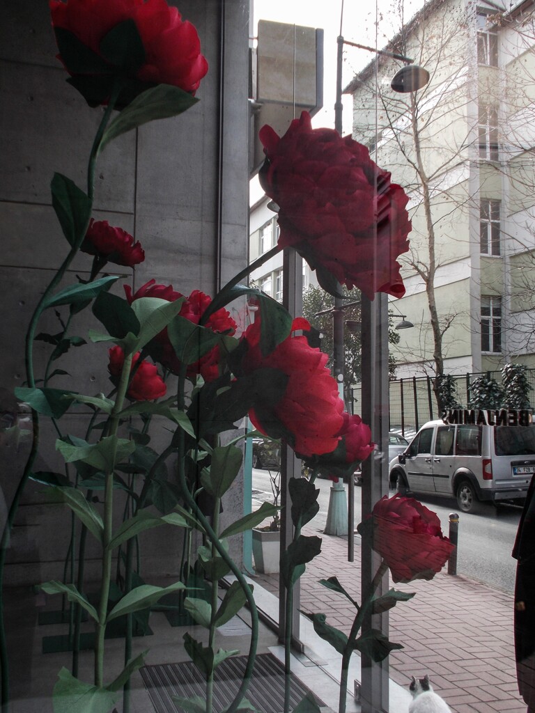 巨大ボタンのイスタンブール侵略！