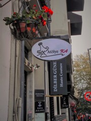 凍えるゼラニューム～✶✶