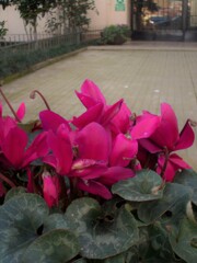 冬が終わってしまう前に…