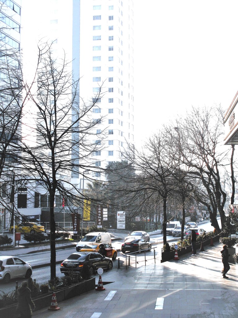 朝の気分～～♪