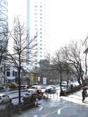 朝の気分～～♪