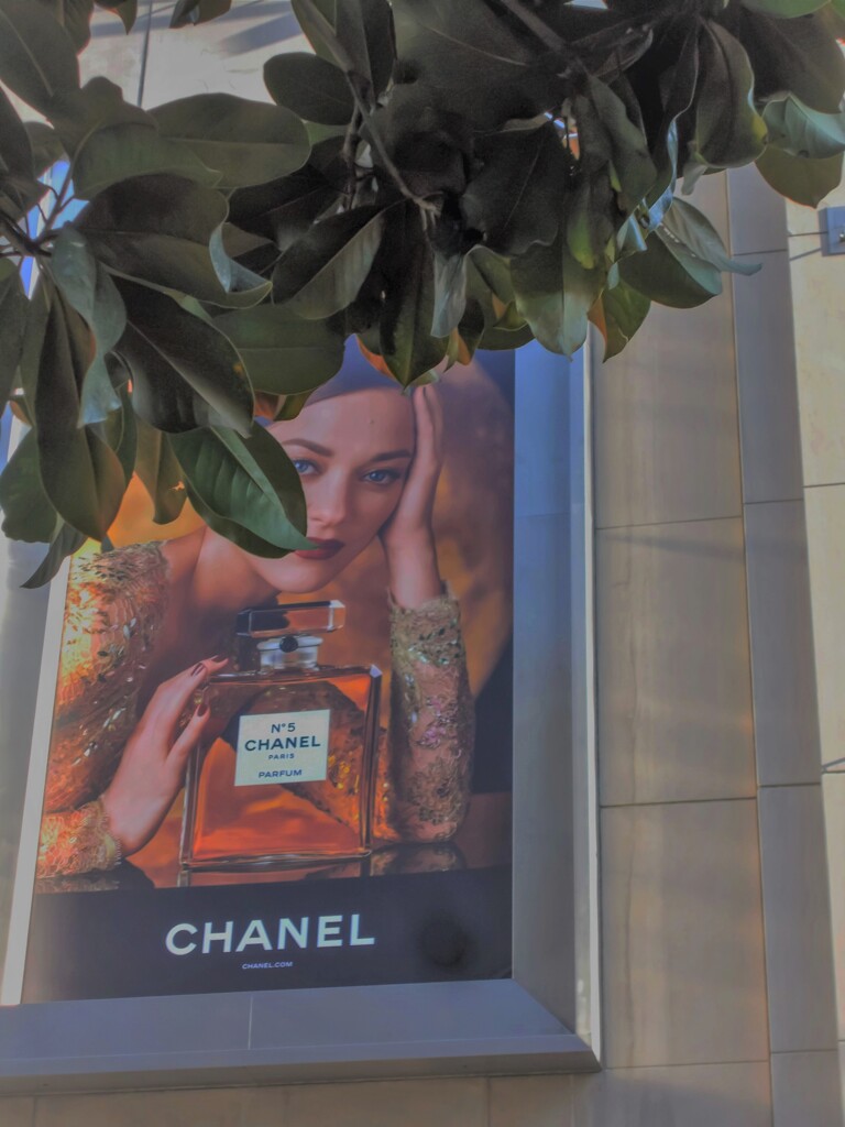 いろはにほえど　ちりぬるを～～