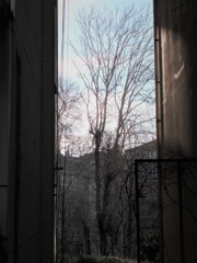 ず～～と向こうに　ほら春が～～♪