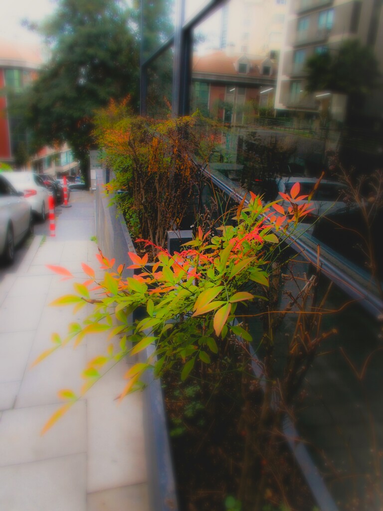 行き場所が…