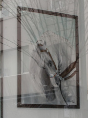 囚われの美しくて　哀しい馬・・・