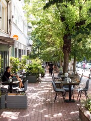 夏の朝～✨　緑色の命達の中で～✨