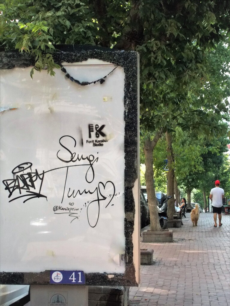 赤いキャップ…