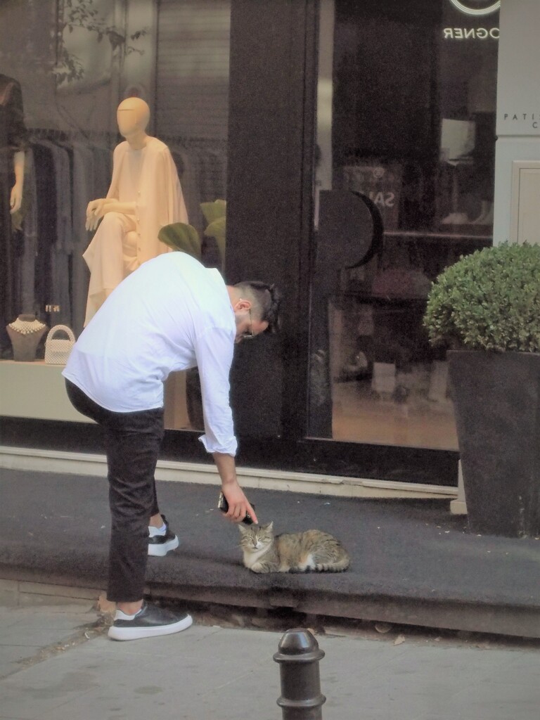 もふもふモフモフ～～