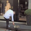 もふもふモフモフ～～