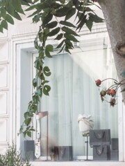 バラの花…ひっそりローズヒップになってた…