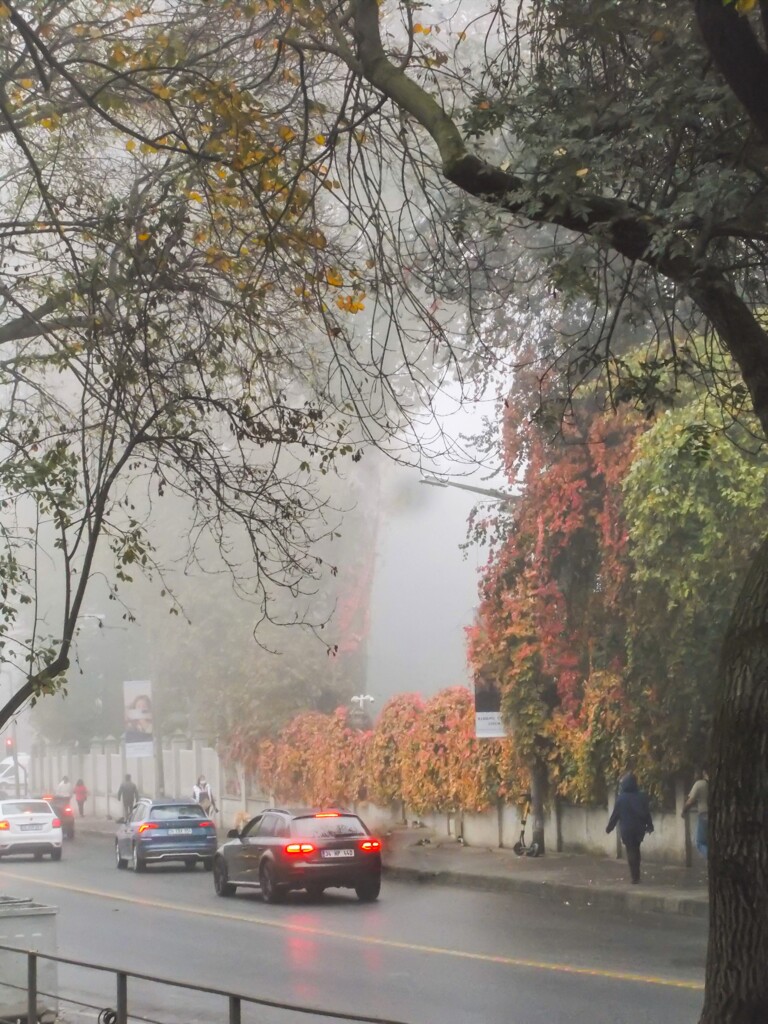 目的地が見えない道を…