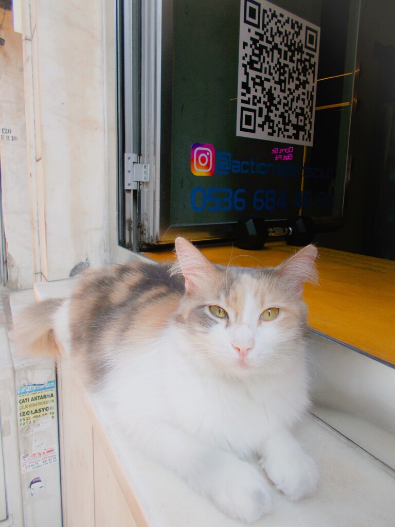 Teşvikiye 　テシビキエ通りのミス　エレガンス～☆