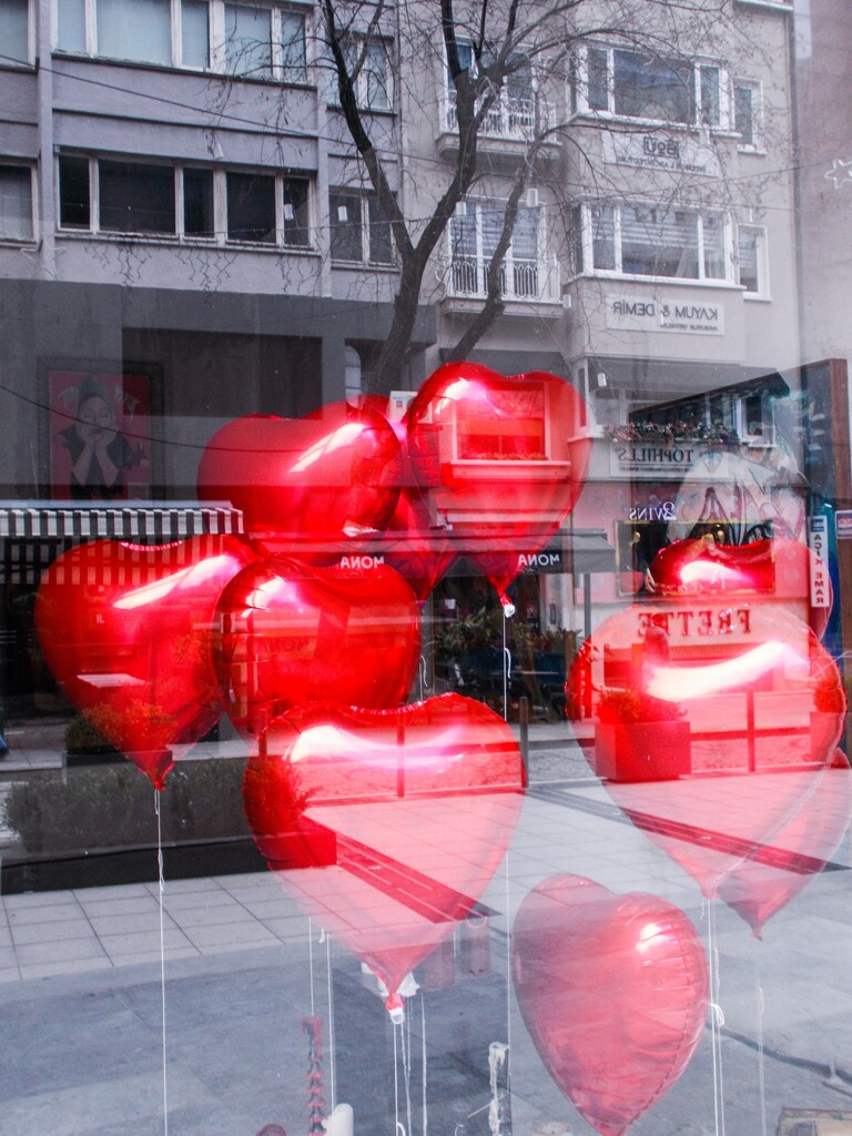 恋を夢見る頃～～