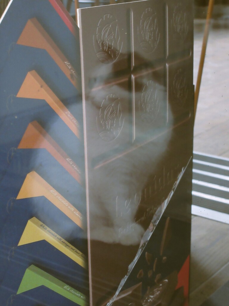 KitCat～♪