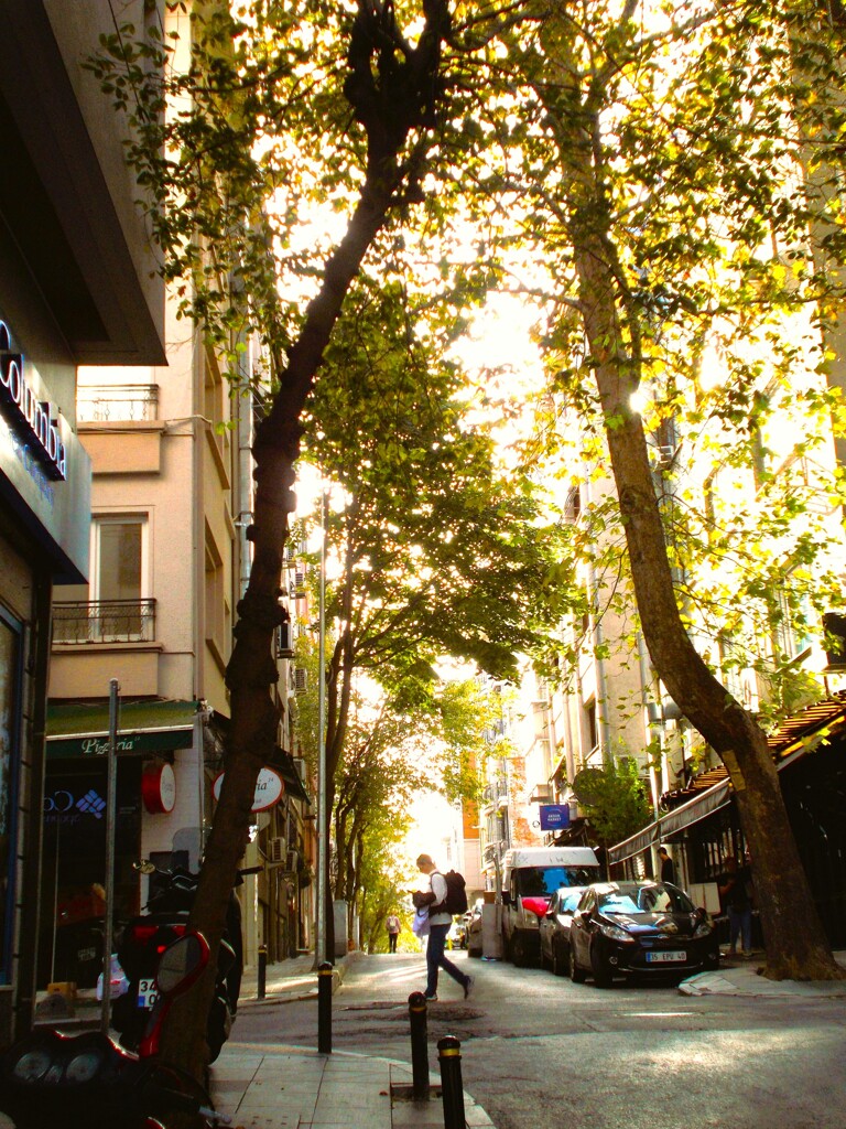 （電子）読書の秋～～