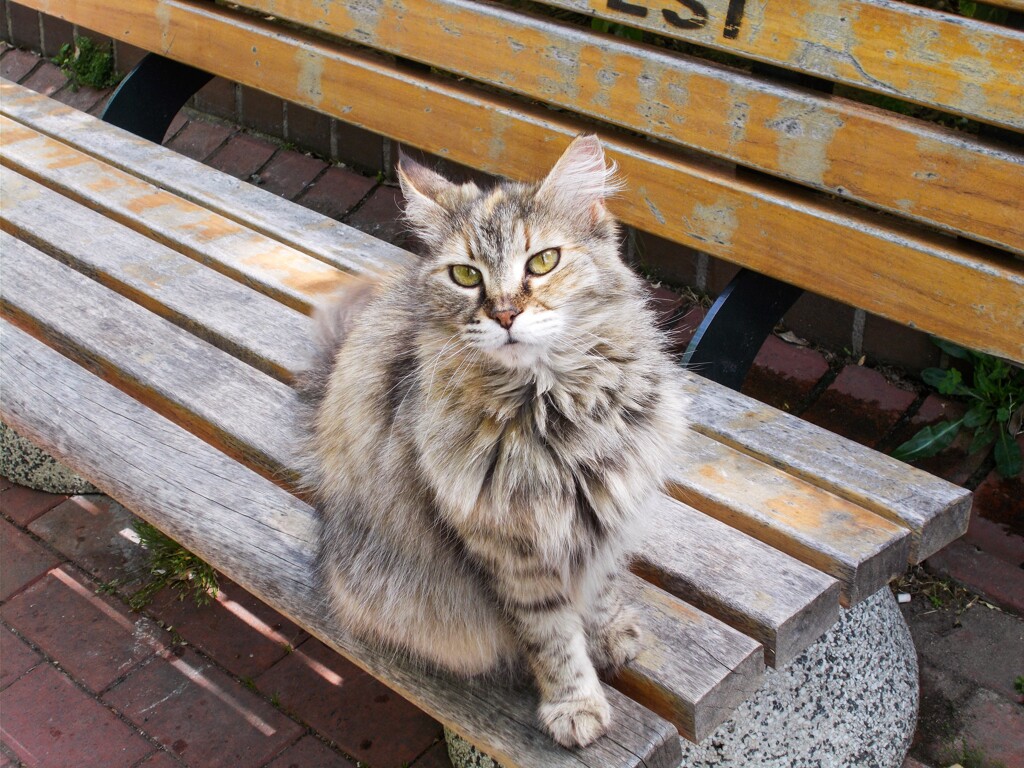 そのカメラどこの…？！きれいに撮ってね～