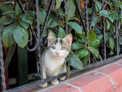 独り立ち～１秒１秒が真剣勝負～