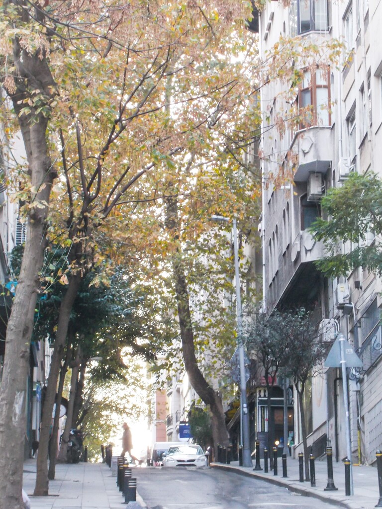 光りに優しく愛されて～　包まれて～♡