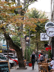 海辺の下町…晩夏…