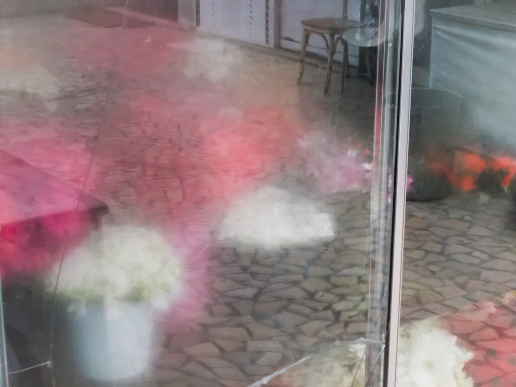 切り花の優しい呼吸…