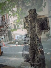 生かされて　そして…やがて還って行く風土…