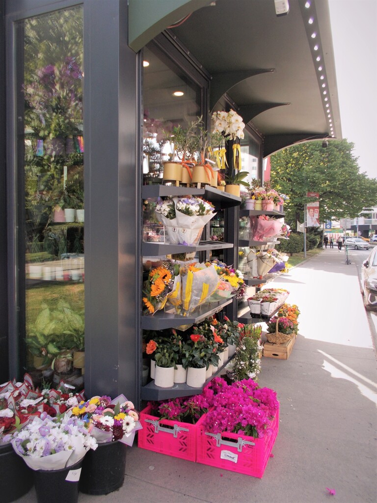 こぼれ花。。。