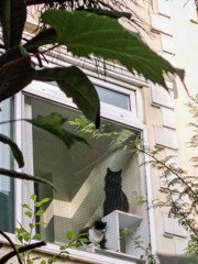 お外の世界は…