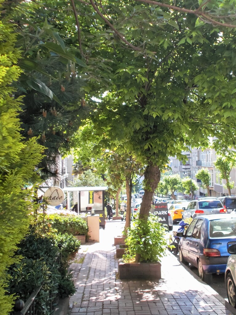 遠き道で～　この街で生きて～