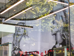 レディー・葉っぱ～～