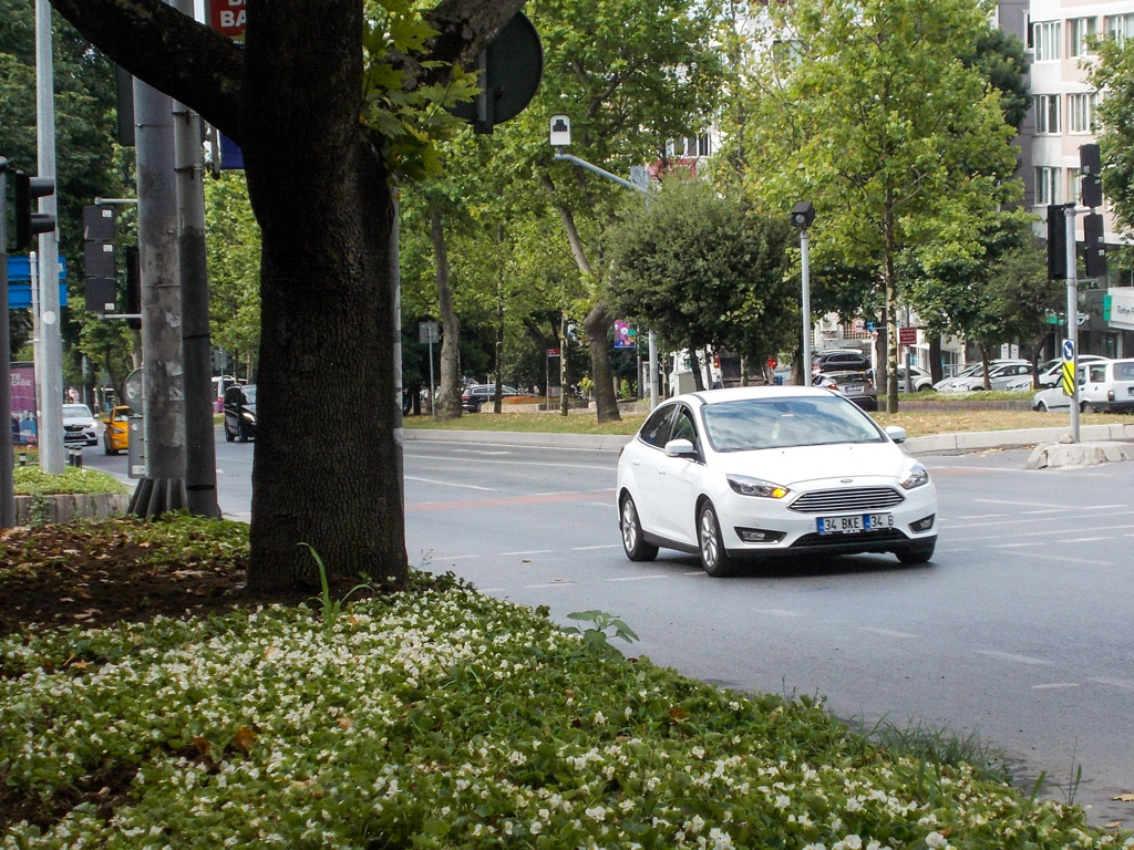 歩道脇のベコニアと白い車…