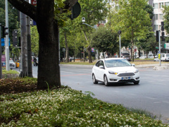 歩道脇のベコニアと白い車…