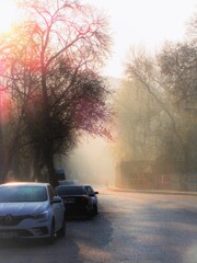 虹色の霧を浴びながら行く～～♪♡