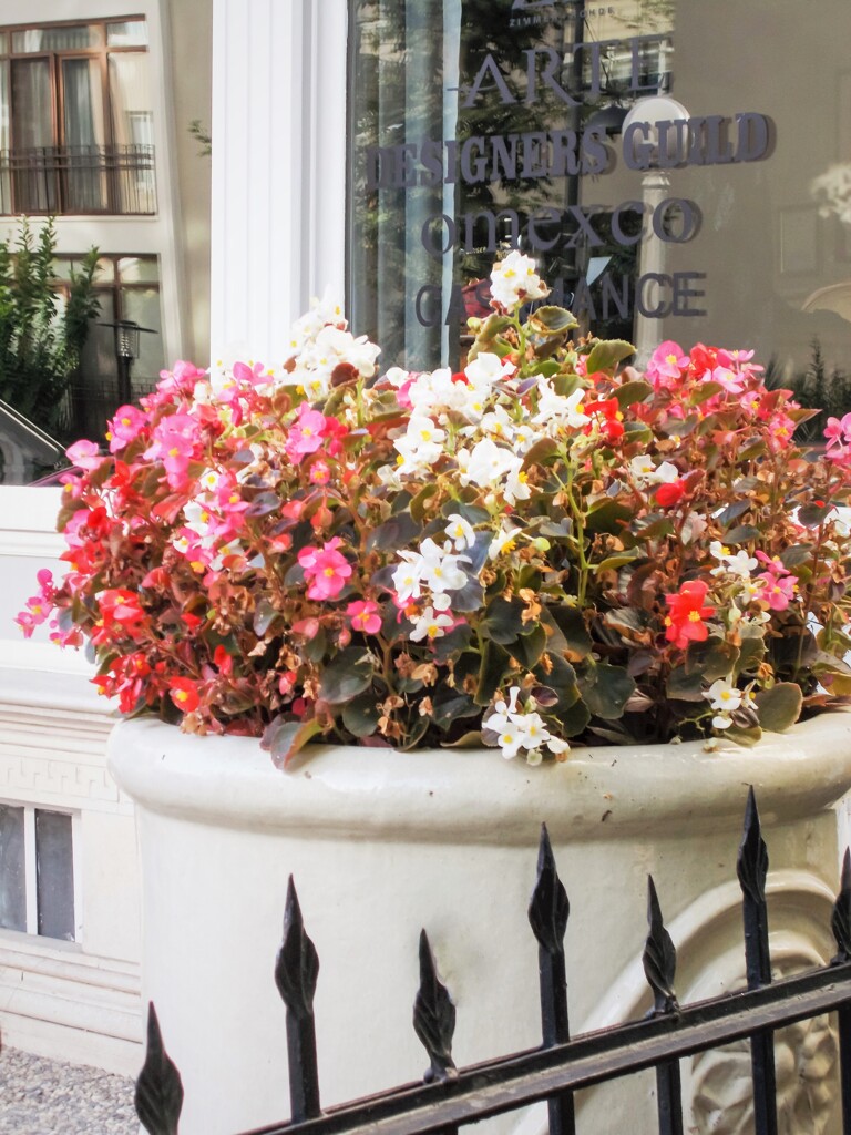 嬉しかったこと～♪　きつくて辛かったこと。。。