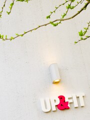 春が来た~♡　up&fit～～♪