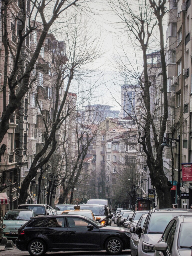 ドラキュラの住処は何処だ…？！