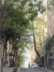 緑の向こう～～