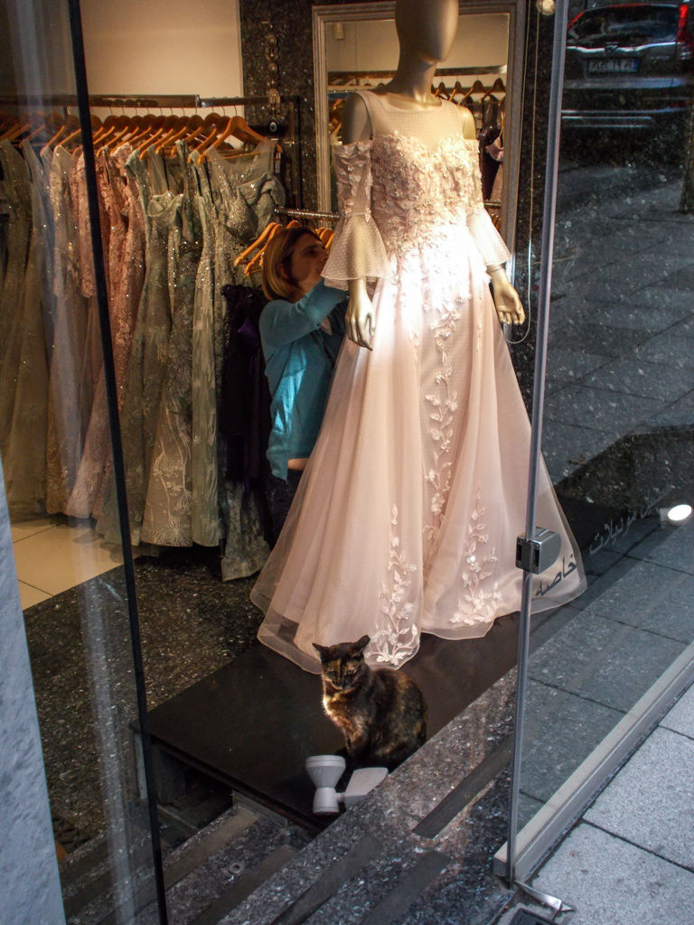 お化けニャん～～